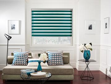 Vision Blinds